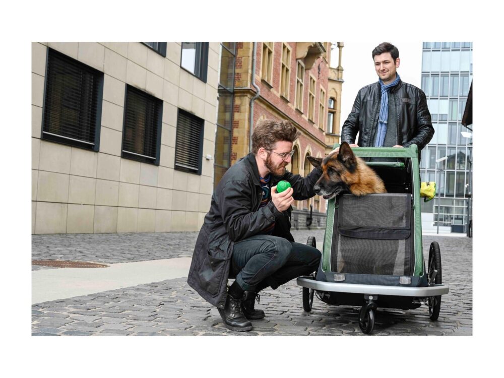 Croozer Hundeanhänger Dog Bruuno – Bild 7