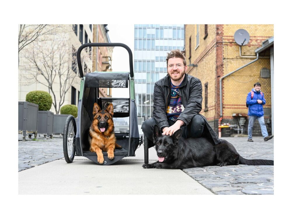 Croozer Hundeanhänger Dog Bruuno – Bild 6