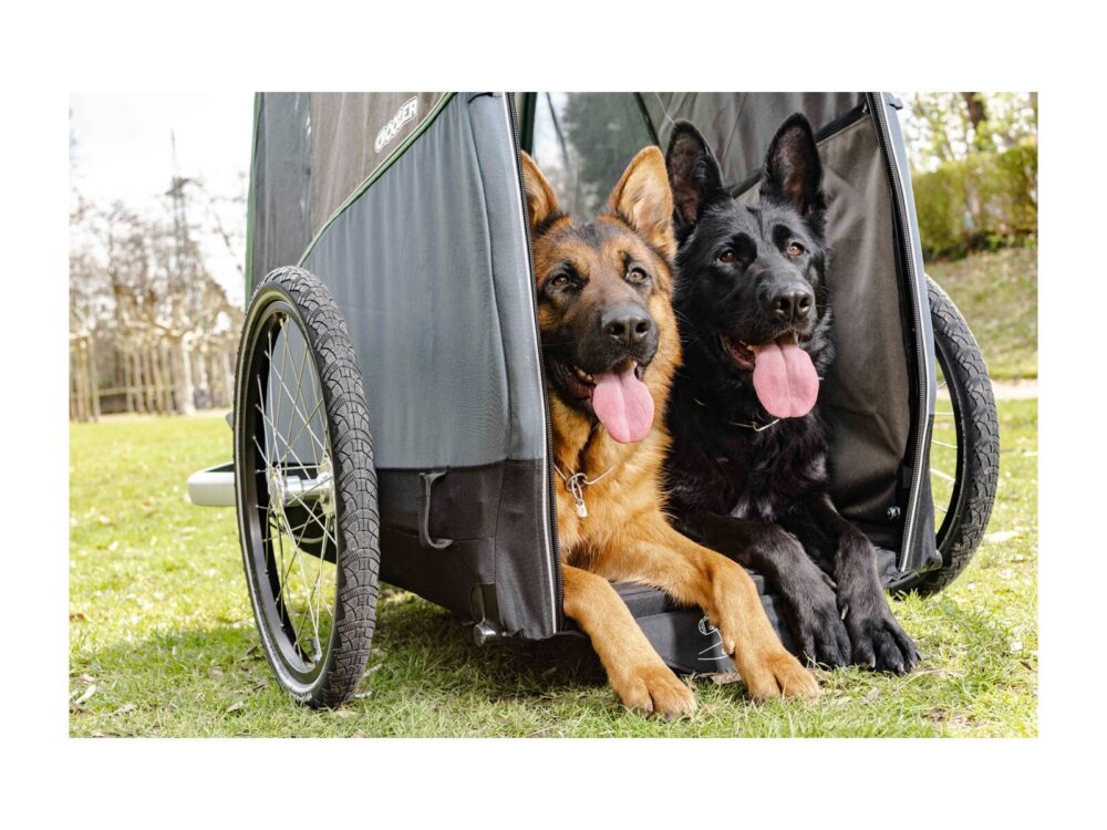 Croozer Hundeanhänger Dog Bruuno – Bild 8