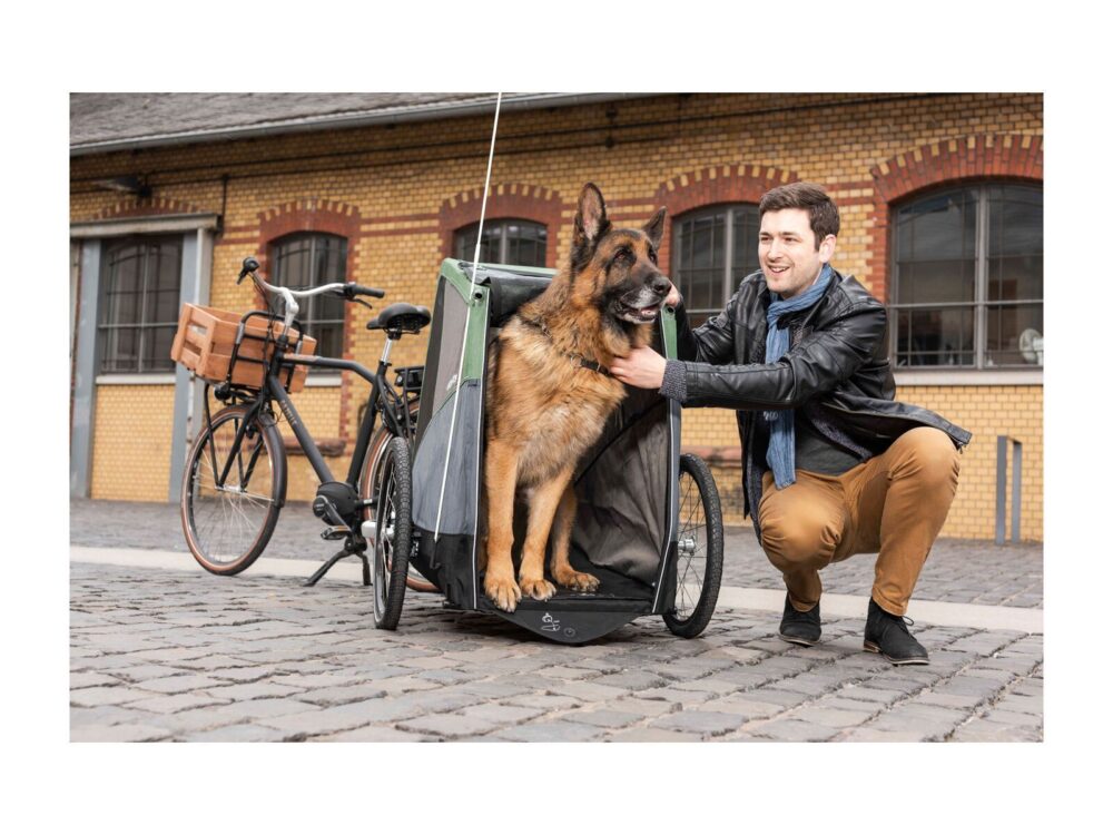 Croozer Hundeanhänger Dog Bruuno – Bild 5