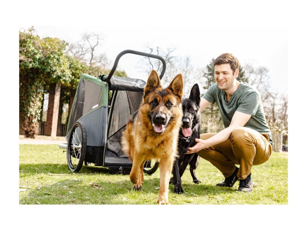 Croozer Hundeanhänger Dog Bruuno – Bild 9
