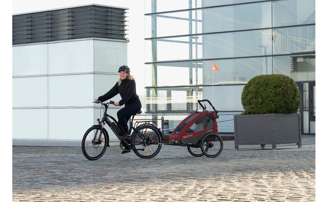 Kinderänhanger Qeridoo Sportrex 1 – Bild 7