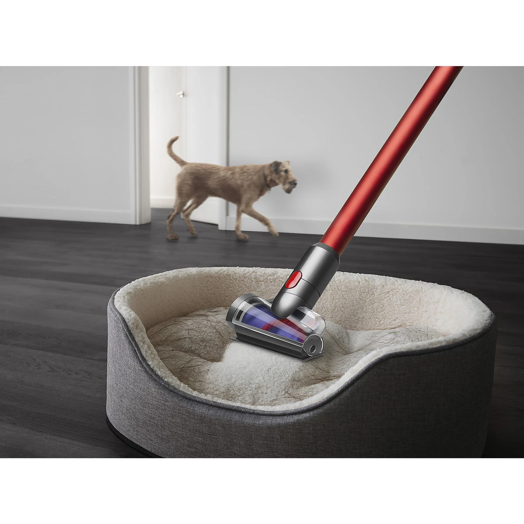 Akku-Stielsauger Dyson Outsize Absolute – Bild 6