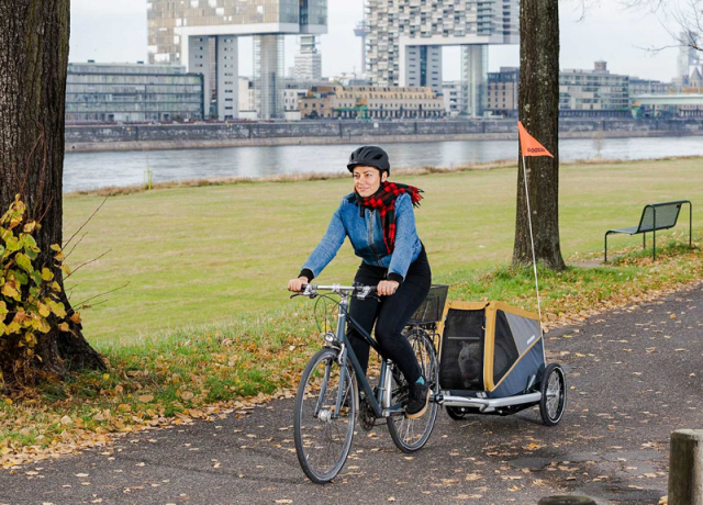 Hundeanhänger Croozer Dog Peppa – Bild 5