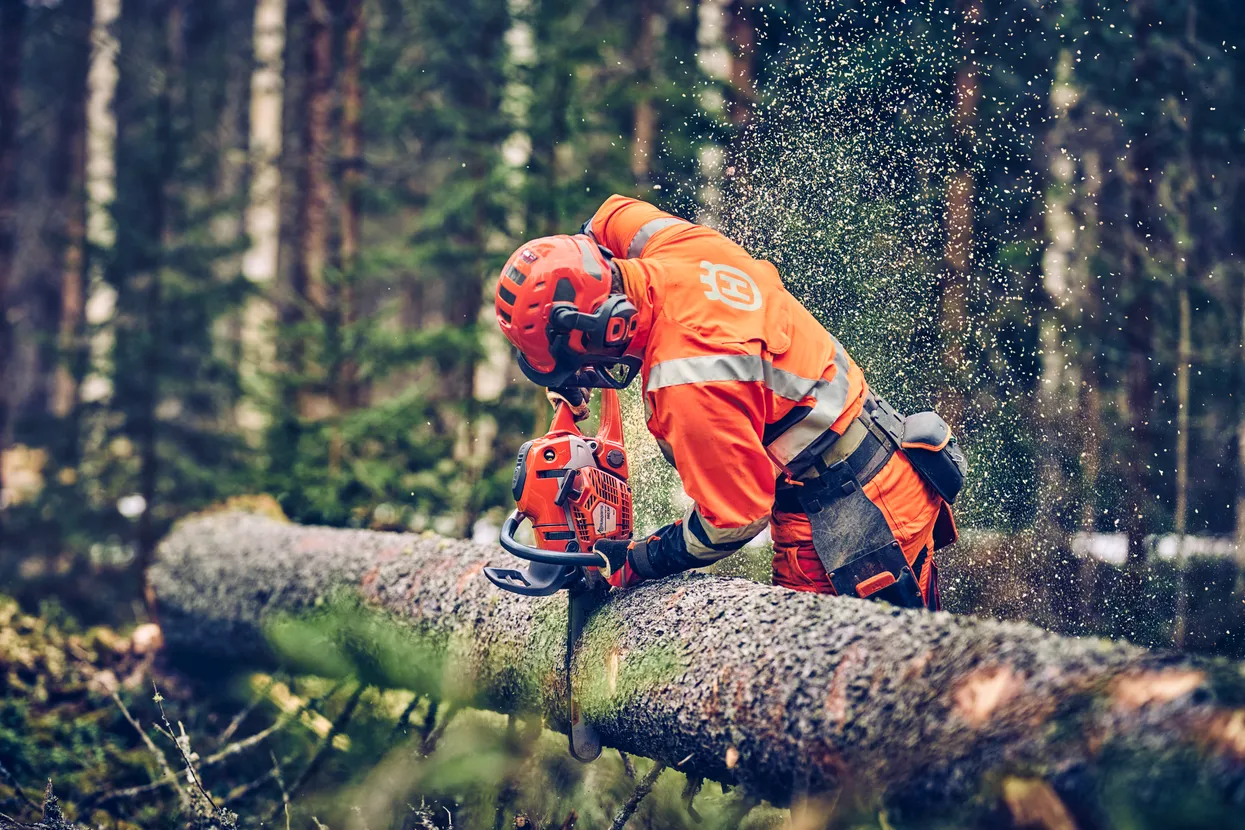 Benzin-Motorsäge Husqvarna 560 XPG – Bild 4